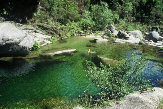 Abrigo Da Geira House Διαμέρισμα Campo do Geres Εξωτερικό φωτογραφία